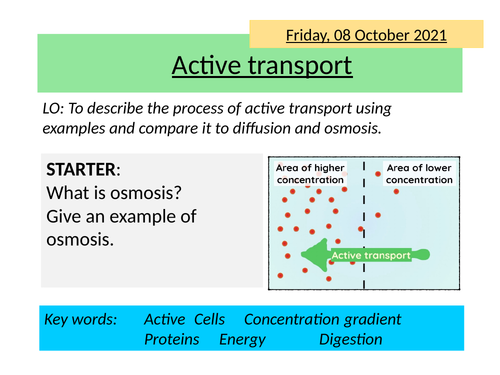 AQA Active Transport