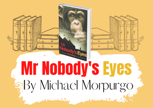 Mr Nobody's Eyes Michael Morpurgo Novel Studies