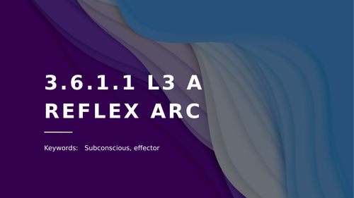 3.6.1.1 L3 A Reflex Arc (AQA A-level)