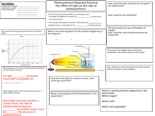 Photosynthesis Required Practical Summary Sheet Foundation