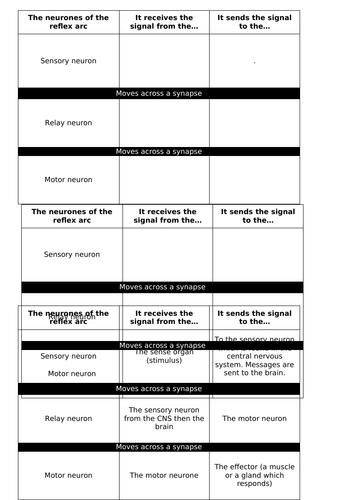 Reflex arch worksheet