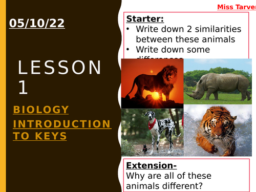 KS2 Biology Introduction to Keys, powerpoint and worksheets