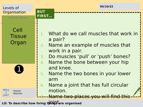 Levels of Organisation | Teaching Resources