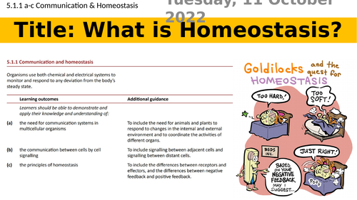 What is homeostasis? (5.1.1 Communication & Homeostasis a-c)