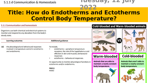 Endotherms & Ectotherms (OCR A Level Biology - 5.1.1 Communication & Homeostasis d)