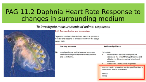 PAG 11.2 Daphnia Heart Rate Response to Changes in Surrounding Medium (OCR A Level Biology)