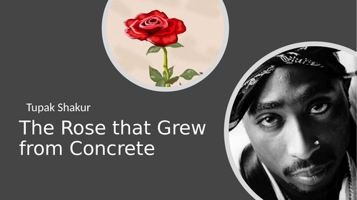 The Rose That Grew Form Concrete - Tupak Shakur