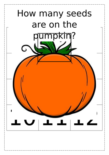 How many seeds are on the Pumpkin?