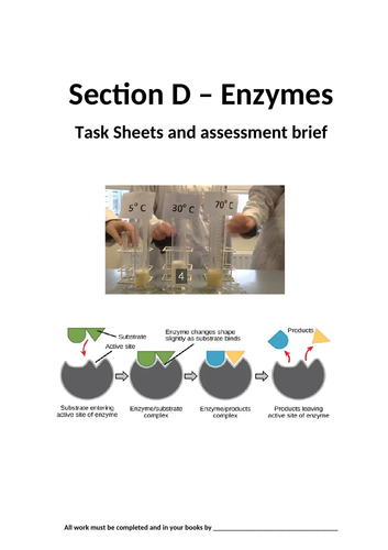 BTEC Applied Science: Unit 3 Pupil task sheets for section D Enzymes