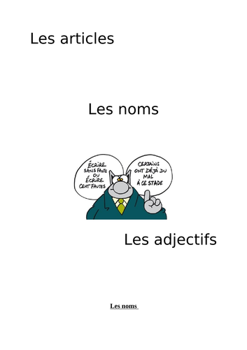 Nouns, adjectival agreements and articles