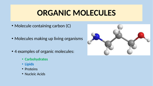 Carbohydrates (AS Edexcel) | Teaching Resources