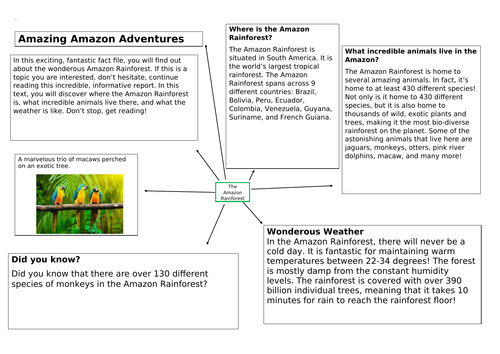 The Amazon Rainforest - Non-chronological report WAGOLL