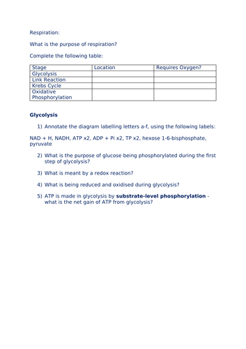 A-Level Biology - Respiration