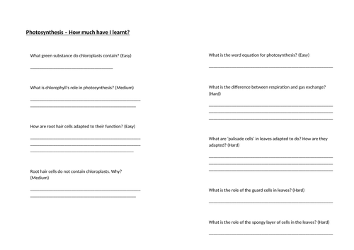 Photosynthesis worksheet