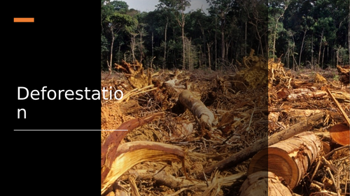 What are the causes and consequences of deforestation?