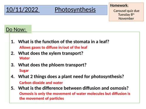 GCSE Photosynthesis