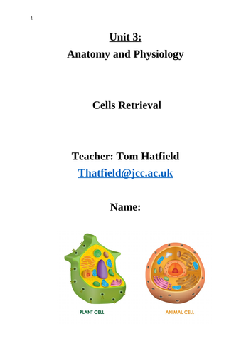 Unit 3: Anatomy and Physiology Worksheets