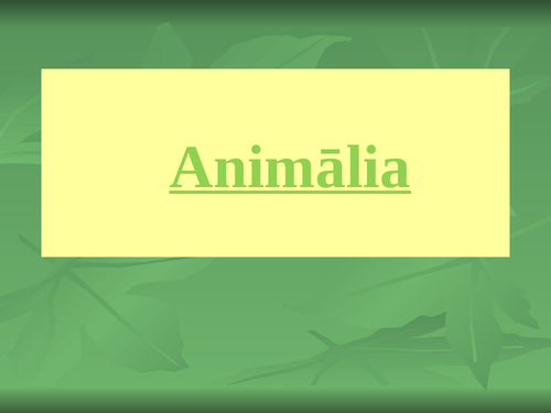 Animālia (Animals in Latin) Presentation