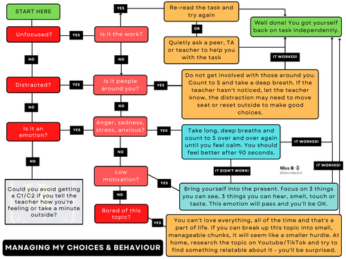 Behaviour flowchart for students to regulate emotions independently