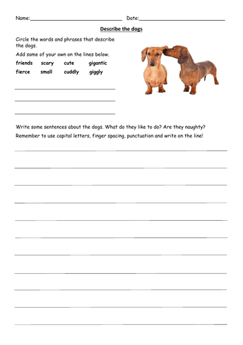 Literacy descriptive writing from animal photos