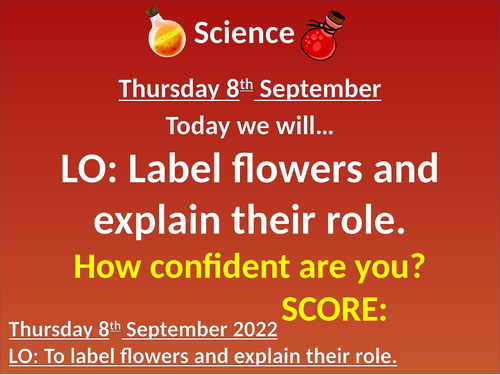 Outstanding Science Lesson Labelling Flower Parts including activities and videos