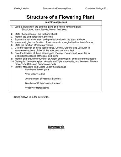 FULL NOTES & STUDENT FILLABLE NOTES WITH ACTIVITIES - Structure of a Flowering Plant LC Biology