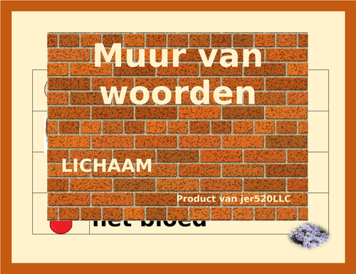 Lichaam (Body in Dutch) Word Wall
