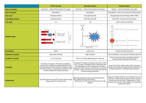 A Level PE - Energy Systems Revision | Teaching Resources