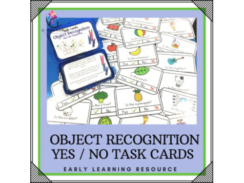 Object Recognition Yes No Task Cards - Autism Special Education Speech ESL