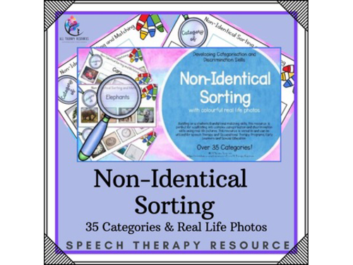 Non-Identical Sorting - Over 35 Categories - Real Life Photos - Special Ed