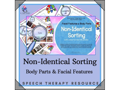 Non-Identical Sorting - Body Parts & Facial Features - Special Education