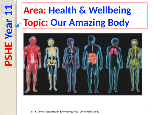 Our Amazing Body - PSHE - Year 11