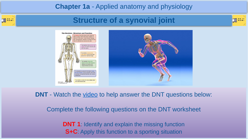 Structure of a synovial joint - Part 1 - GCSE Physical Education - AQA