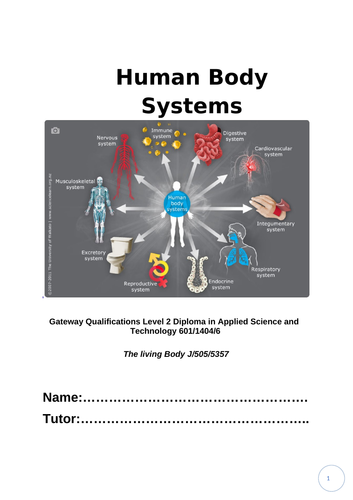 Body Systems Booklet Teaching Resources