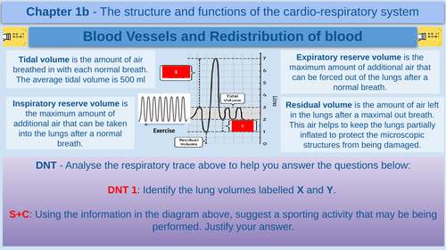 Blood Vessels and Redistribution of blood - GCSE Physical Education - AQA