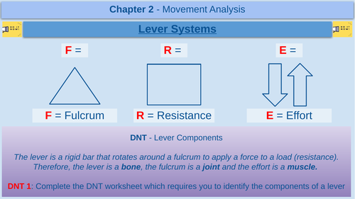 Lever Systems - GCSE Physical Education - AQA