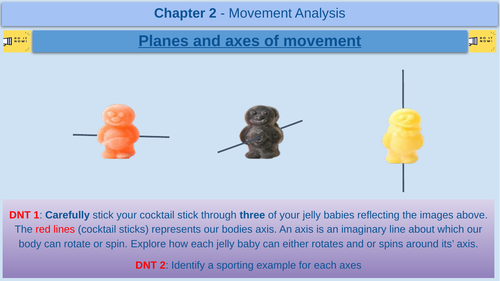 Planes and axes of movement