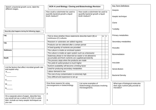 OCR A Level Biology Cloning and Biotechnology revision summary
