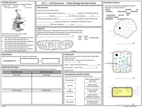 OCR Gateway GCSE Biology B1 Revision Mat