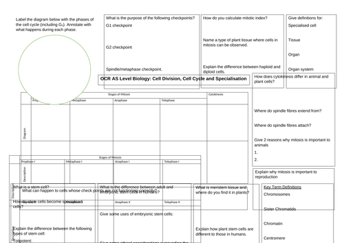 OCR AS level Biology Cell division, cell cycle and cell specialisation revision ws