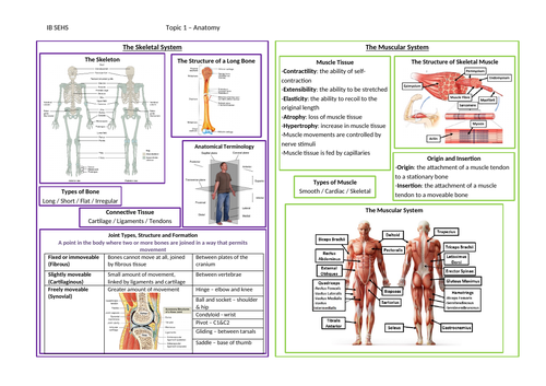 IB SEHS Topic on a page Unit 1