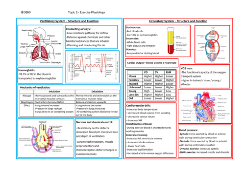 ib-sehs-topic-on-a-page-unit-2-teaching-resources