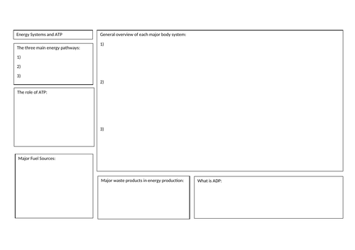 Anatomy and Physiology energy systems overview worksheet