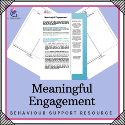 Behaviour Support: Behaviour Strategy – Person Centred Meaningful Engagement