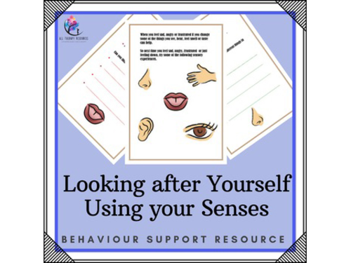 Behaviour Support and Self Care : Looking After Yourself