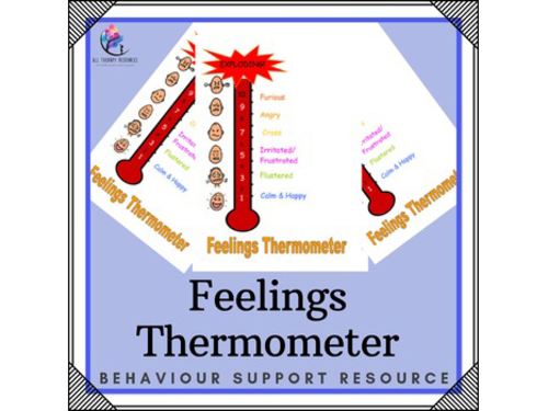 Feelings Thermometre