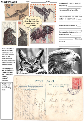 Mark Powell Artist Research Activity and Bird Drawing Cover Lesson, Worksheet, Homework Activity