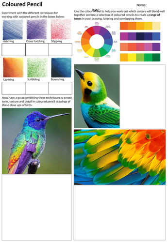 Bird Themed Colour Pencil Drawing Art Cover Lesson, Worksheet or Homework Activity