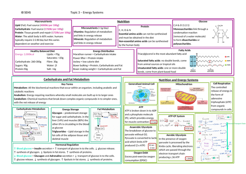 IB SEHS Topic on a page unit 3