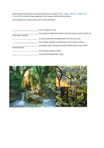 Rainforest fronted adverbials worksheet